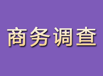 德保商务调查